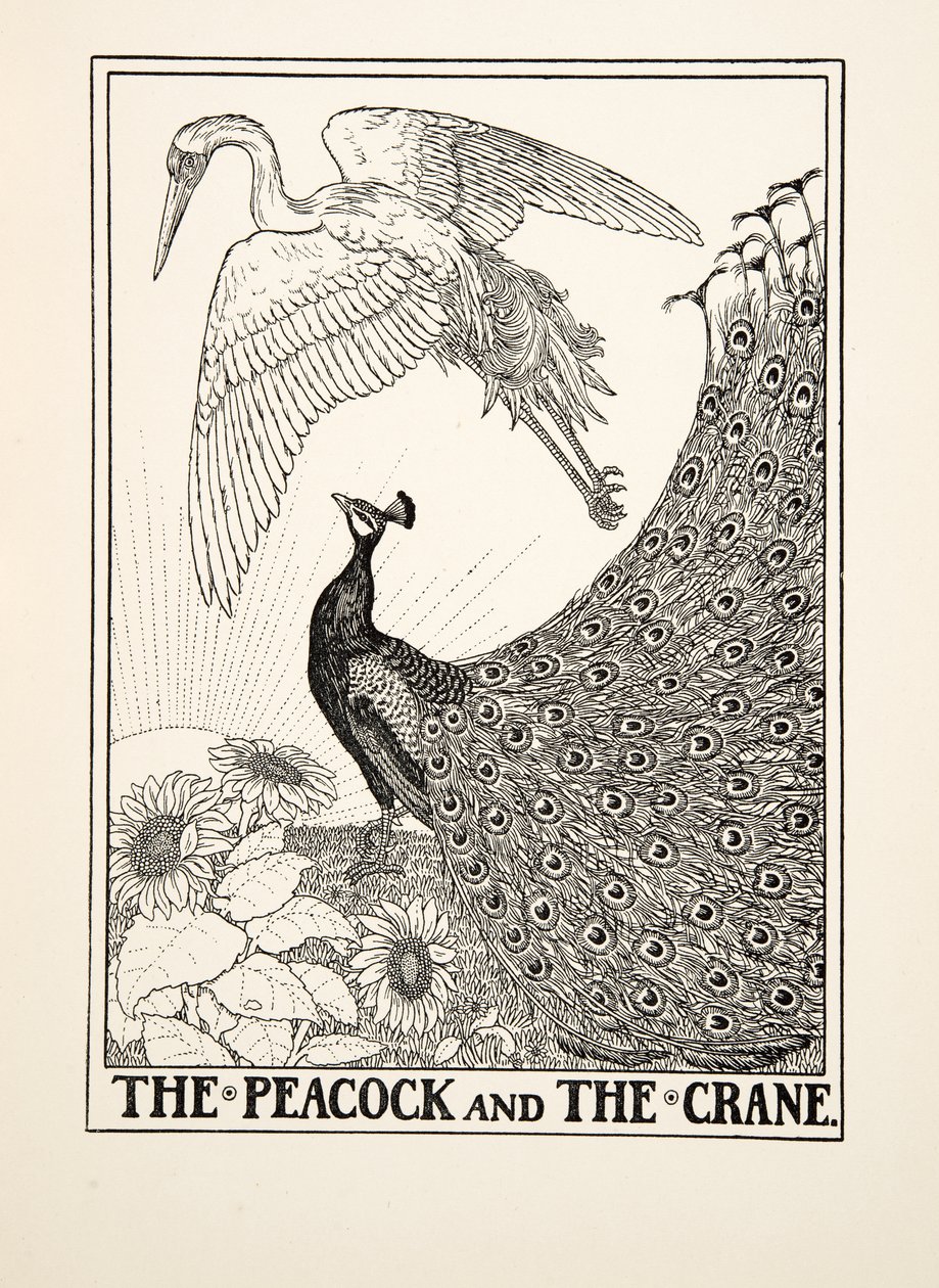 Peacock and the Crane, julkaisusta A Hundred Fables of Aesop, pub.1903 tekijältä Percy J. Billingshurst