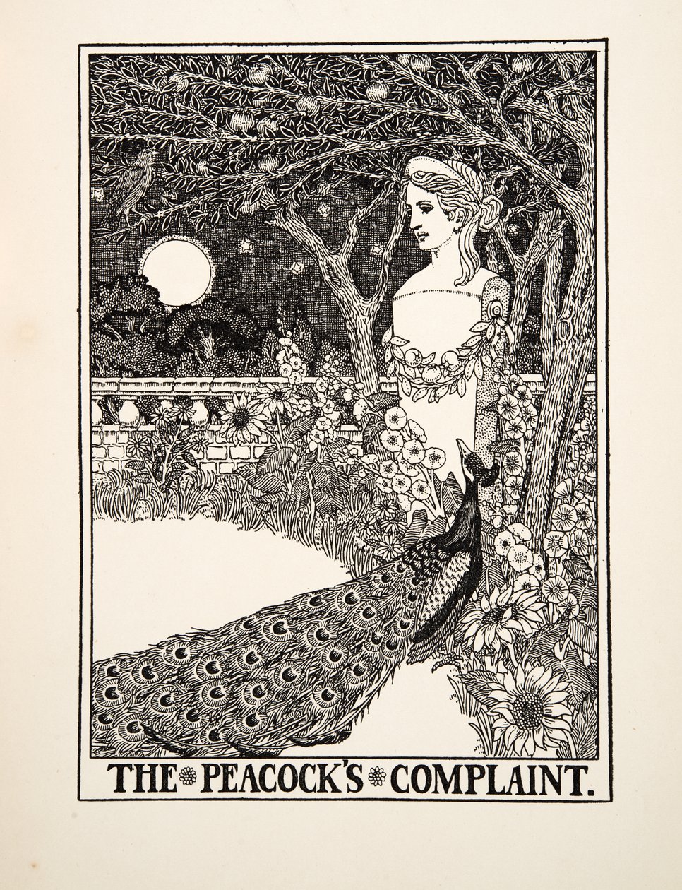 The Peacocks Complaint, teoksesta A Hundred Fables of Aesop, julkaistu 1903. tekijältä Percy J. Billingshurst