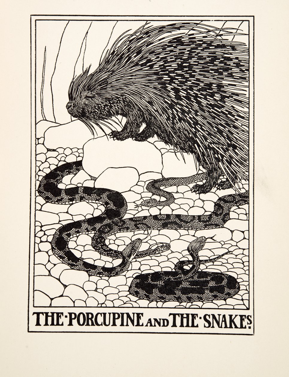 Porcupine and the Snakes, julkaisusta A Hundred Fables of Aesop, pub.1903 (kaiverrus) tekijältä Percy J. Billingshurst