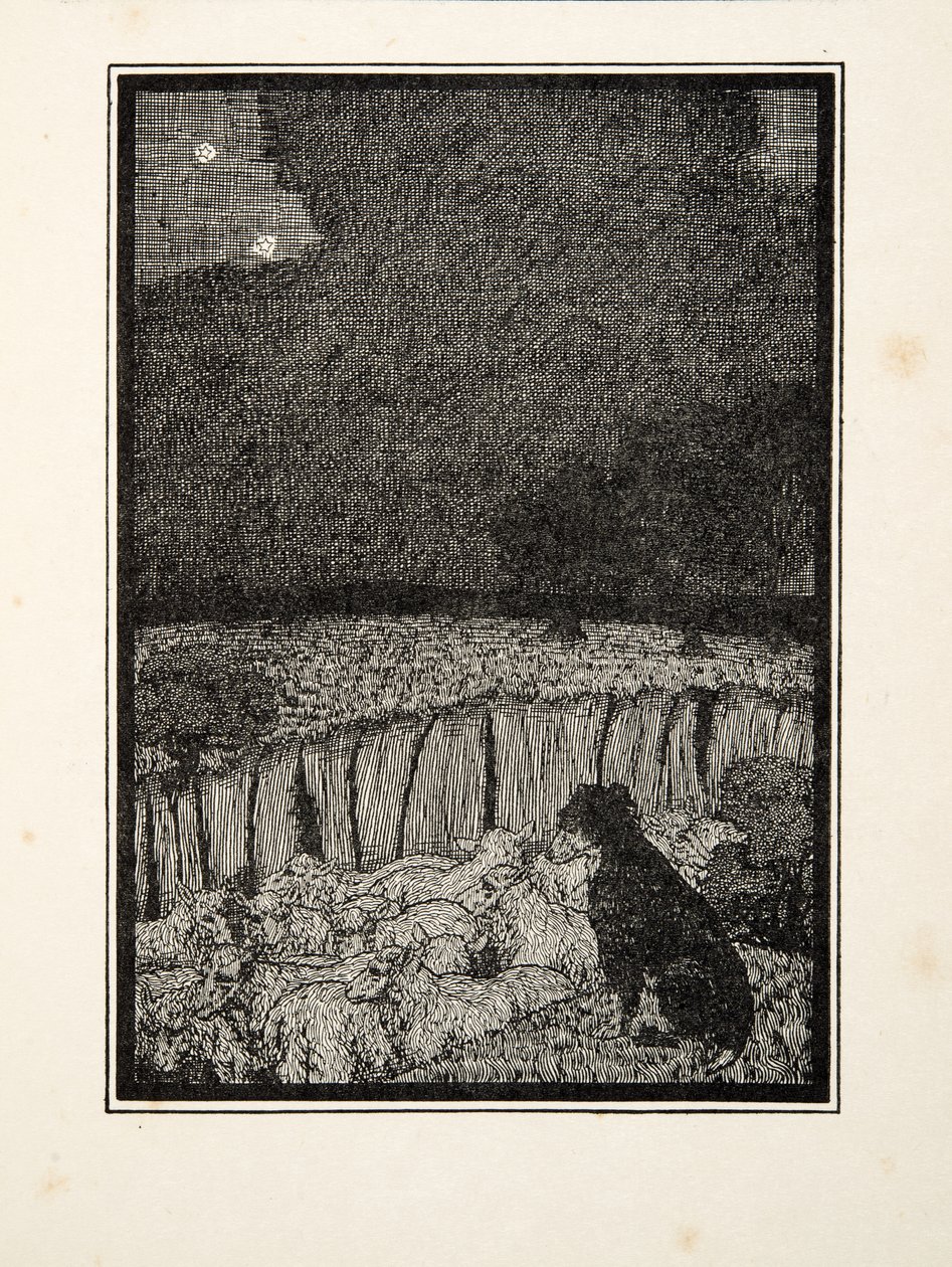Paimenkoira, teoksesta A Hundred Anecdotes of Animals, pub. 1924 tekijältä Percy J. Billingshurst