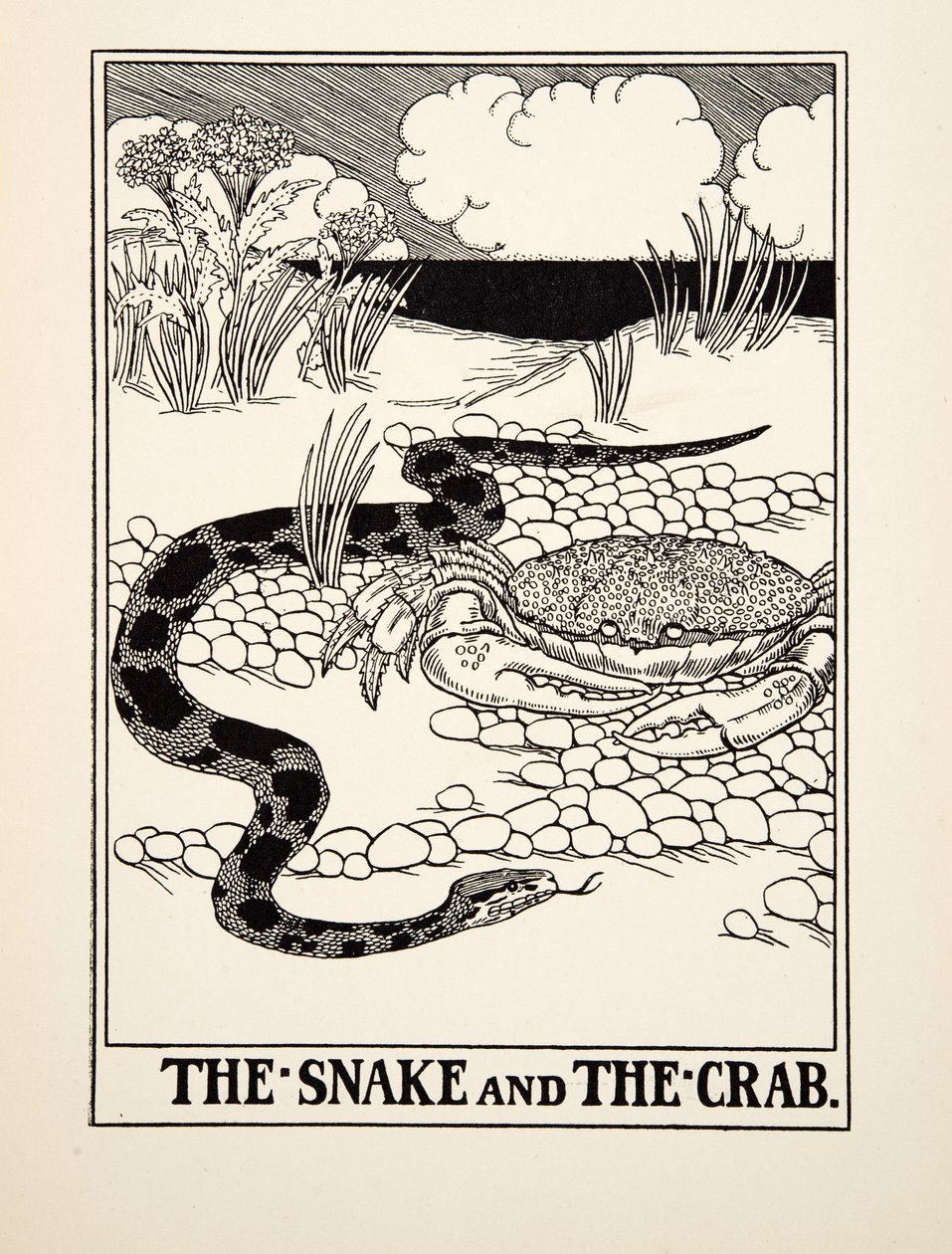 Käärme ja rapu, julkaisusta A Hundred Fables of Aesop, pub.1903 tekijältä Percy J. Billingshurst