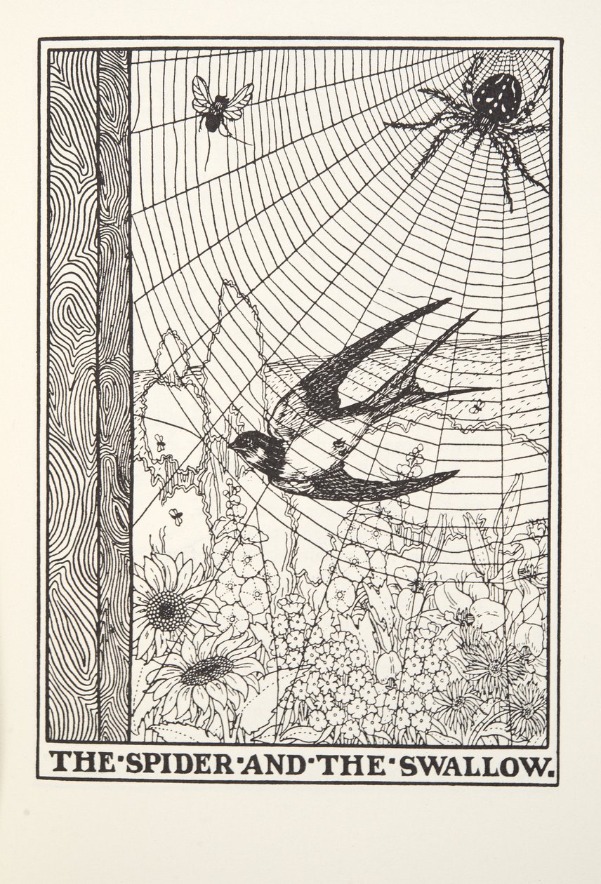 Hämähäkki ja pääskynen, Fontainen saduista, pub. 1905 tekijältä Percy J. Billingshurst