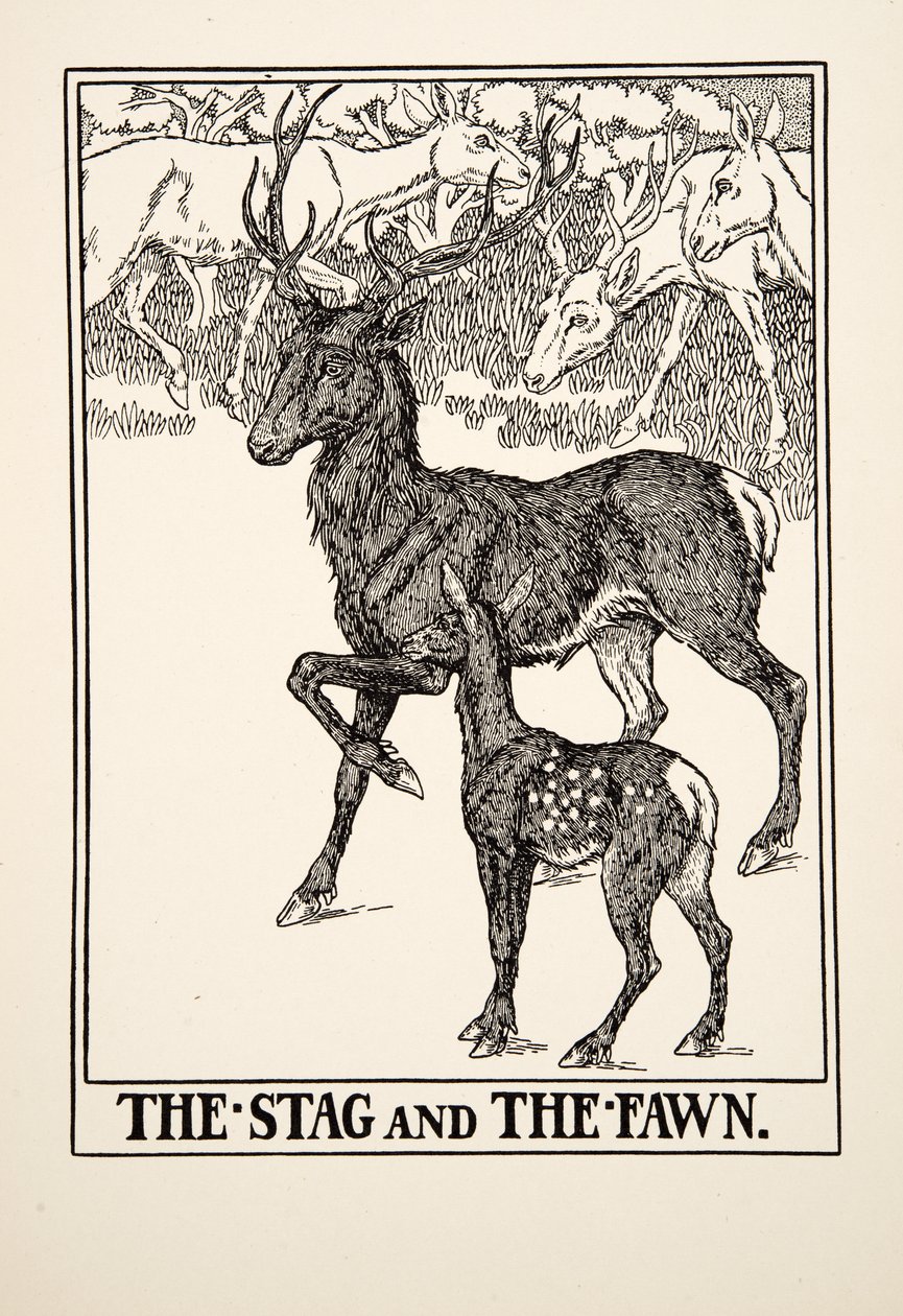 The Stag and the Fawn, julkaisusta A Hundred Fables of Aesop, pub.1903 tekijältä Percy J. Billingshurst