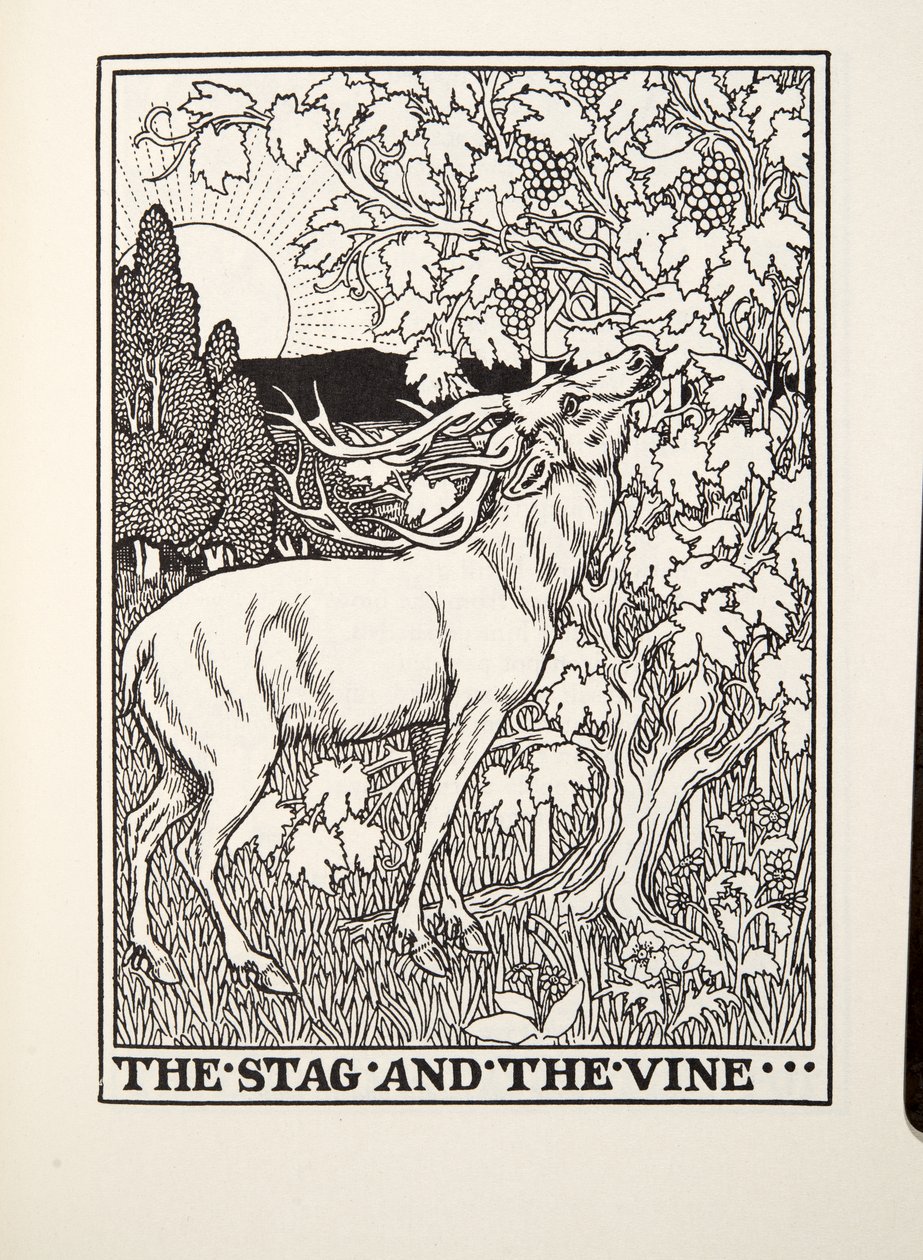 Hirvi ja viiniköynnös, Fontainen taruista, pub. 1905 tekijältä Percy J. Billingshurst