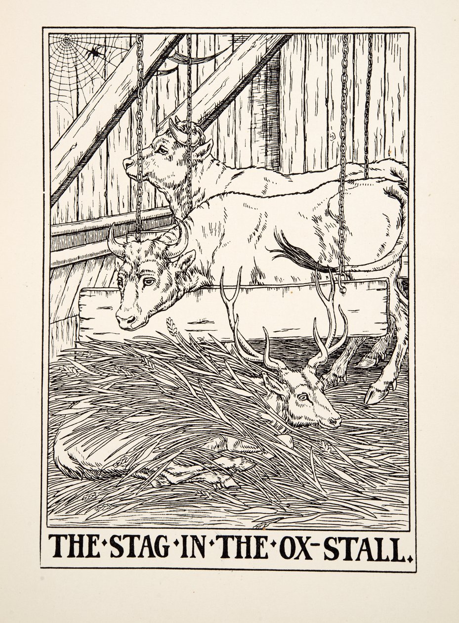 The Stag in the Ox Stall, julkaisusta A Hundred Fables of Aesop, pub.1903 (kaiverrus) tekijältä Percy J. Billingshurst