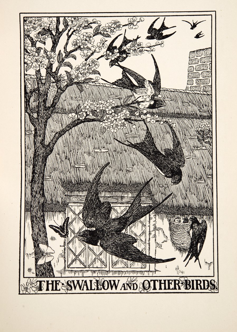 Pääskynen ja muut linnut, julkaisusta A Hundred Fables of Aesop, pub.1903 tekijältä Percy J. Billingshurst