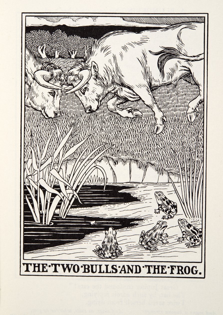 Kaksi härkää ja sammakko, teoksesta Fontainen taruja, pub. 1905 tekijältä Percy J. Billingshurst