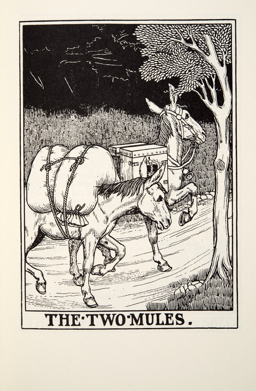 Kaksi muulia, Fontainen saduista, pub. 1905 tekijältä Percy J. Billingshurst
