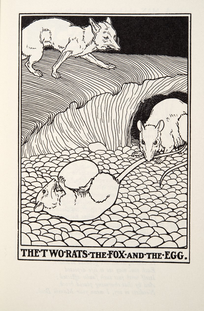 Kaksi rottaa, kettu ja muna, teoksesta Fontaine Fables, pub. 1905 tekijältä Percy J. Billingshurst