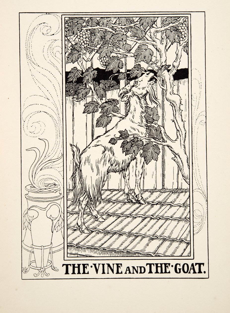 Viiniköynnös ja vuohi, julkaisusta A Hundred Fables of Aesop, pub.1903 tekijältä Percy J. Billingshurst