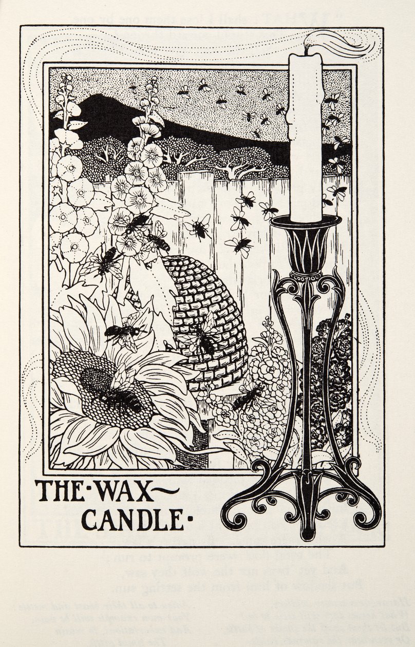 Vahakynttilä, teoksesta Fontaine Fables, pub. 1905 tekijältä Percy J. Billingshurst