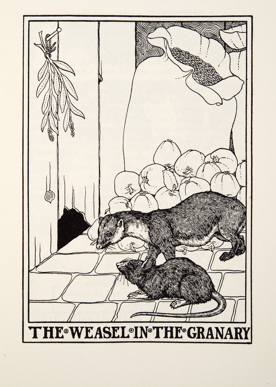 The Weasel in the Granary, Fontainen taruista, pub. 1905 tekijältä Percy J. Billingshurst
