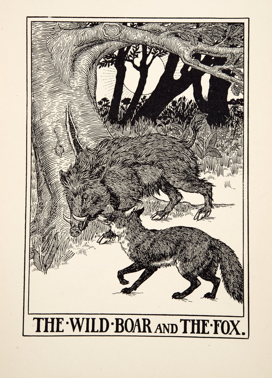 Villisika ja kettu, julkaisusta A Hundred Fables of Aesop, pub.1903 (kaiverrus) tekijältä Percy J. Billingshurst
