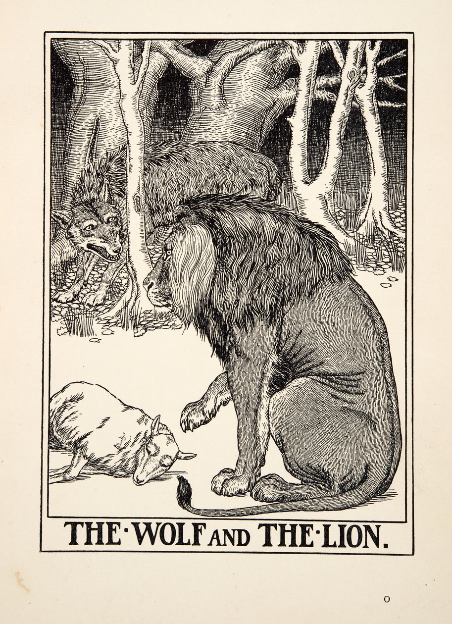 Susi ja leijona, julkaisusta A Hundred Fables of Aesop, pub.1903 (kaiverrus) tekijältä Percy J. Billingshurst