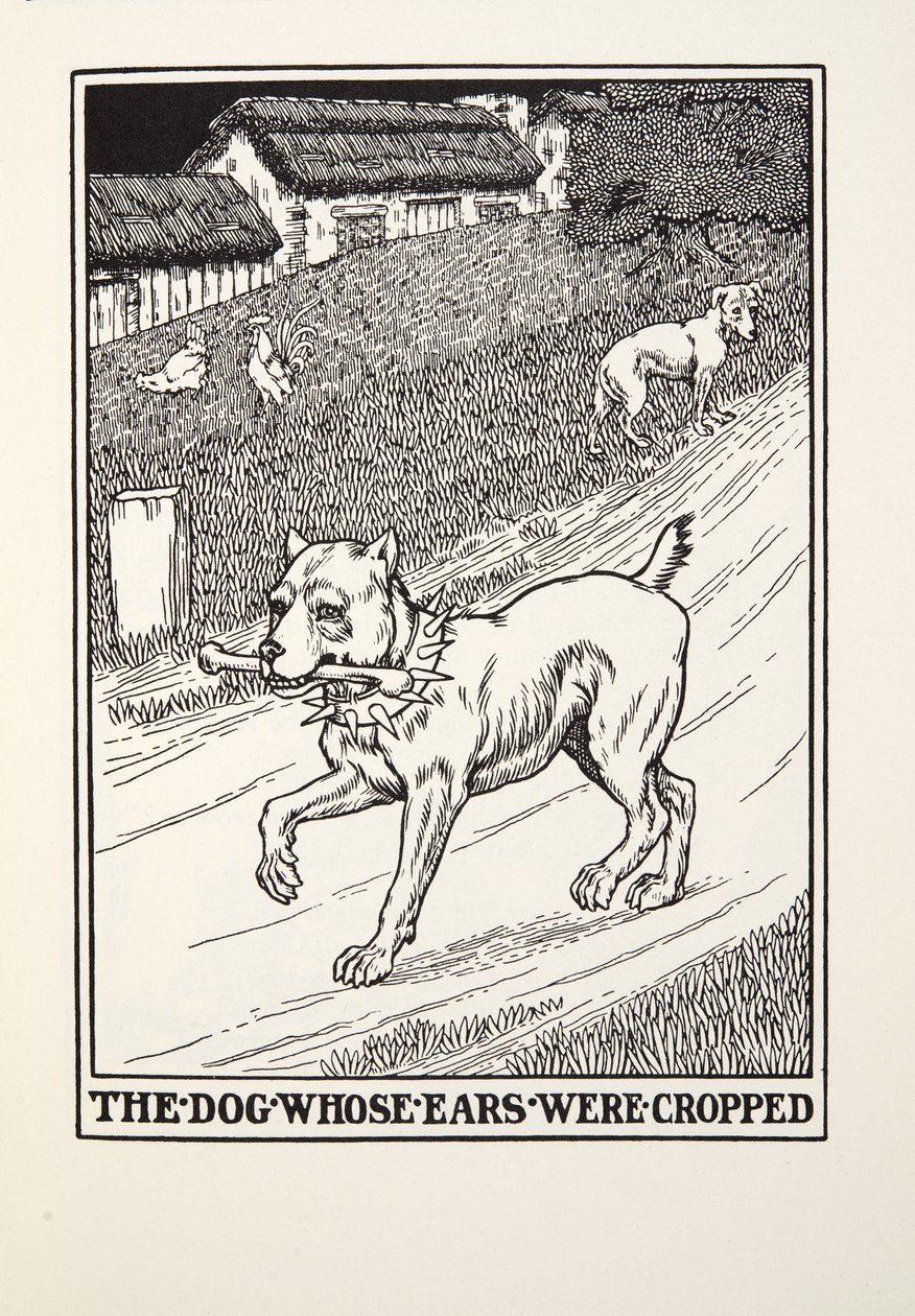 Koira, jonka korvat oli leikattu, Fontaine Fables, pub. 1905 tekijältä Percy J. Billingshurst
