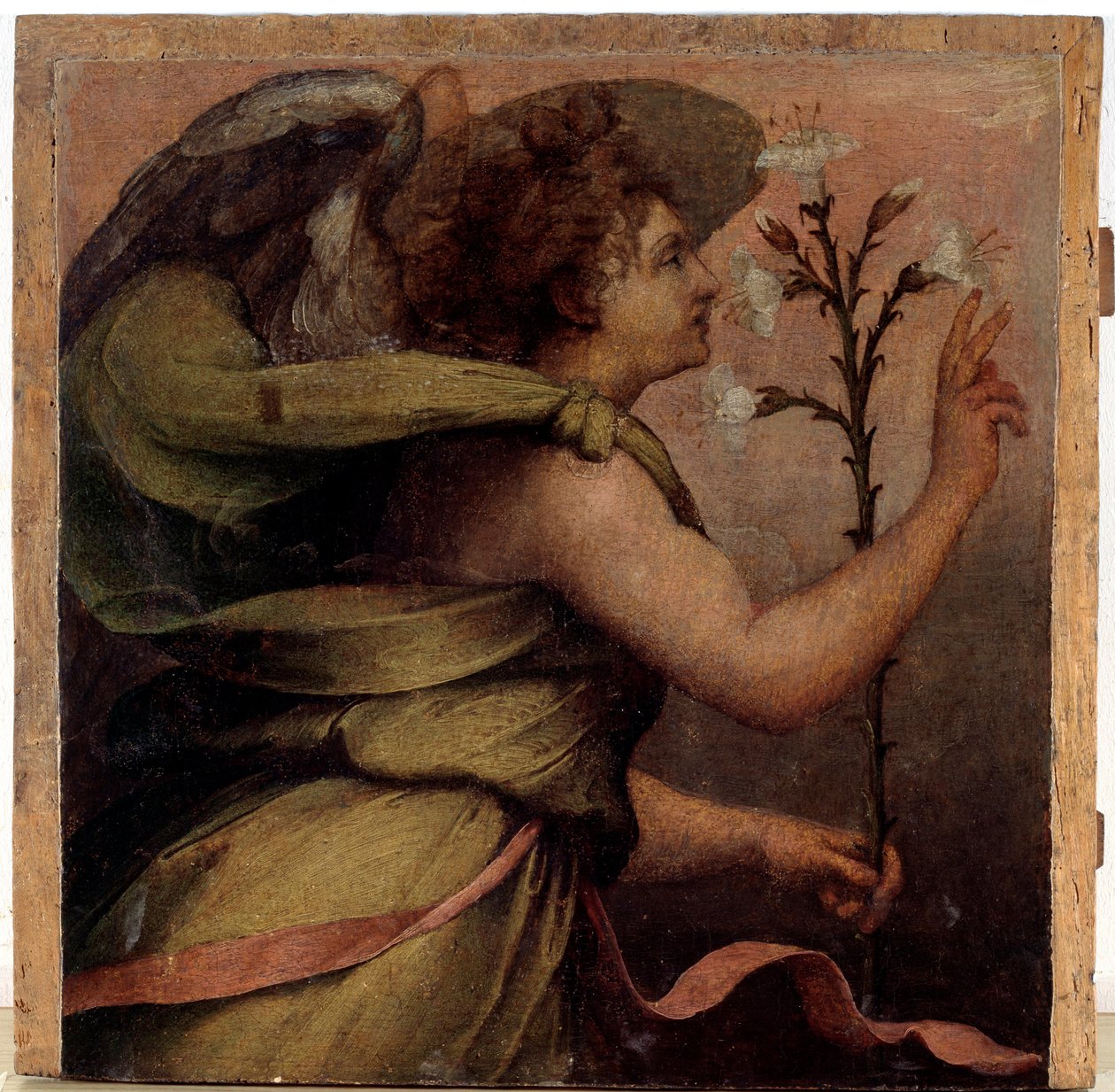 Angel of the Annunciation, yksityiskohta (öljy puulle, n. 1535) tekijältä Perino del Vaga