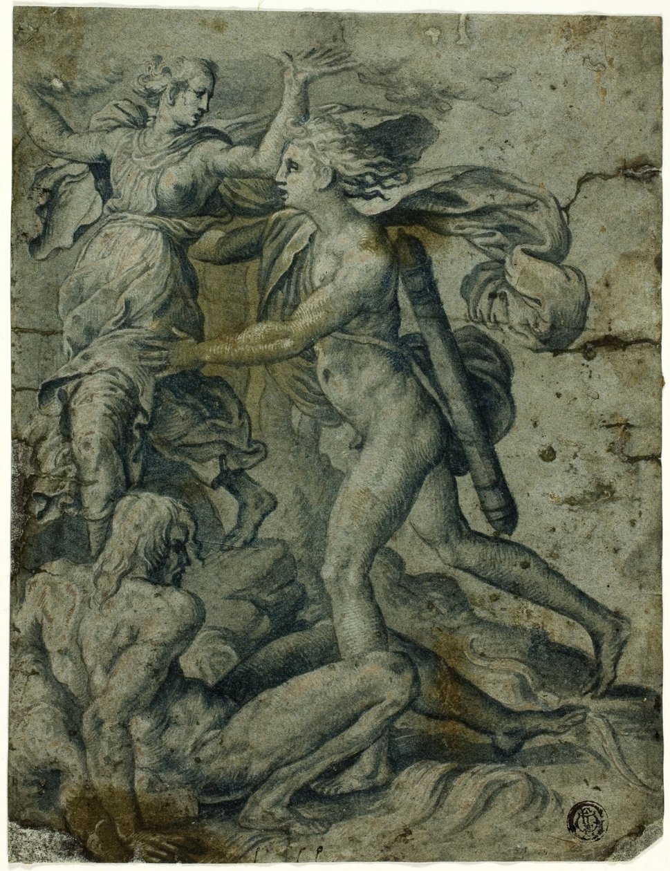 Apollo ja Daphne tekijältä Perino del Vaga