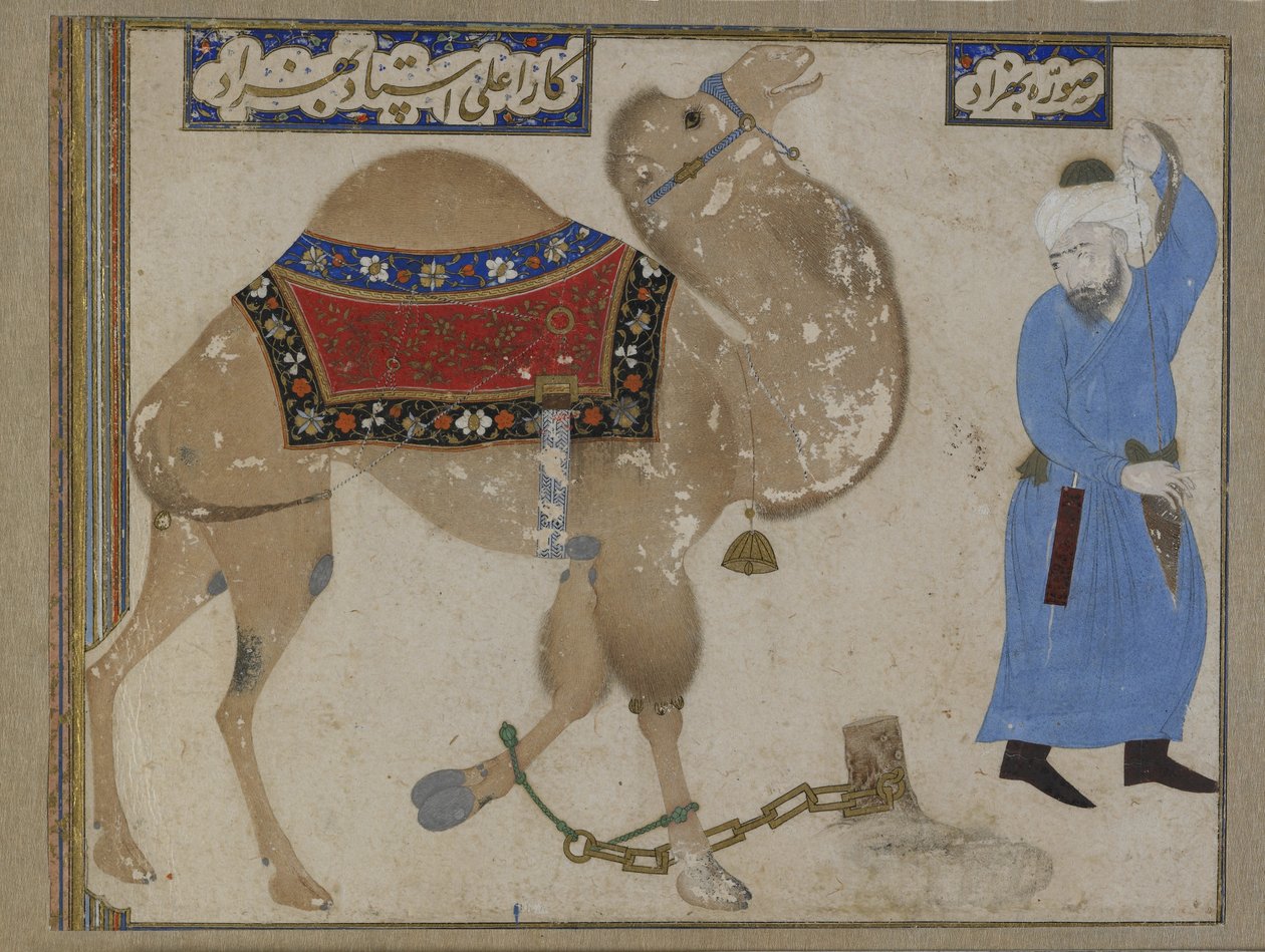 Kahlittu kameli ja vartija, Safavid-kausi tekijältä Persian School