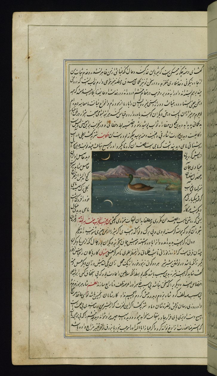 Hanhi ja kuun heijastus vedessä Lights of Canopuksesta tekijältä Persian School