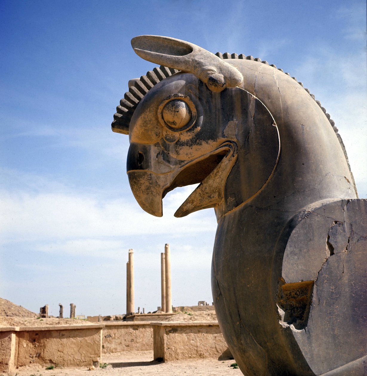 Griffoni, legendaarinen olento puoliksi kotka, puoliksi leijona. Apadanan pylväs, suuri oikeussali, jota nämä pääkaupungit yllättävät, Darius I:n palatsi, Persepolis, Iran. tekijältä Persian School