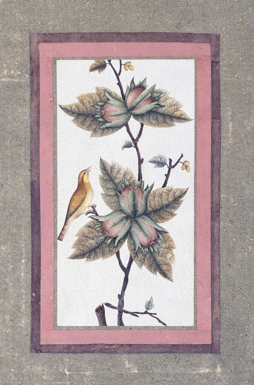 Lintu- ja kukkatutkimus, n. 1780 tekijältä Persian School