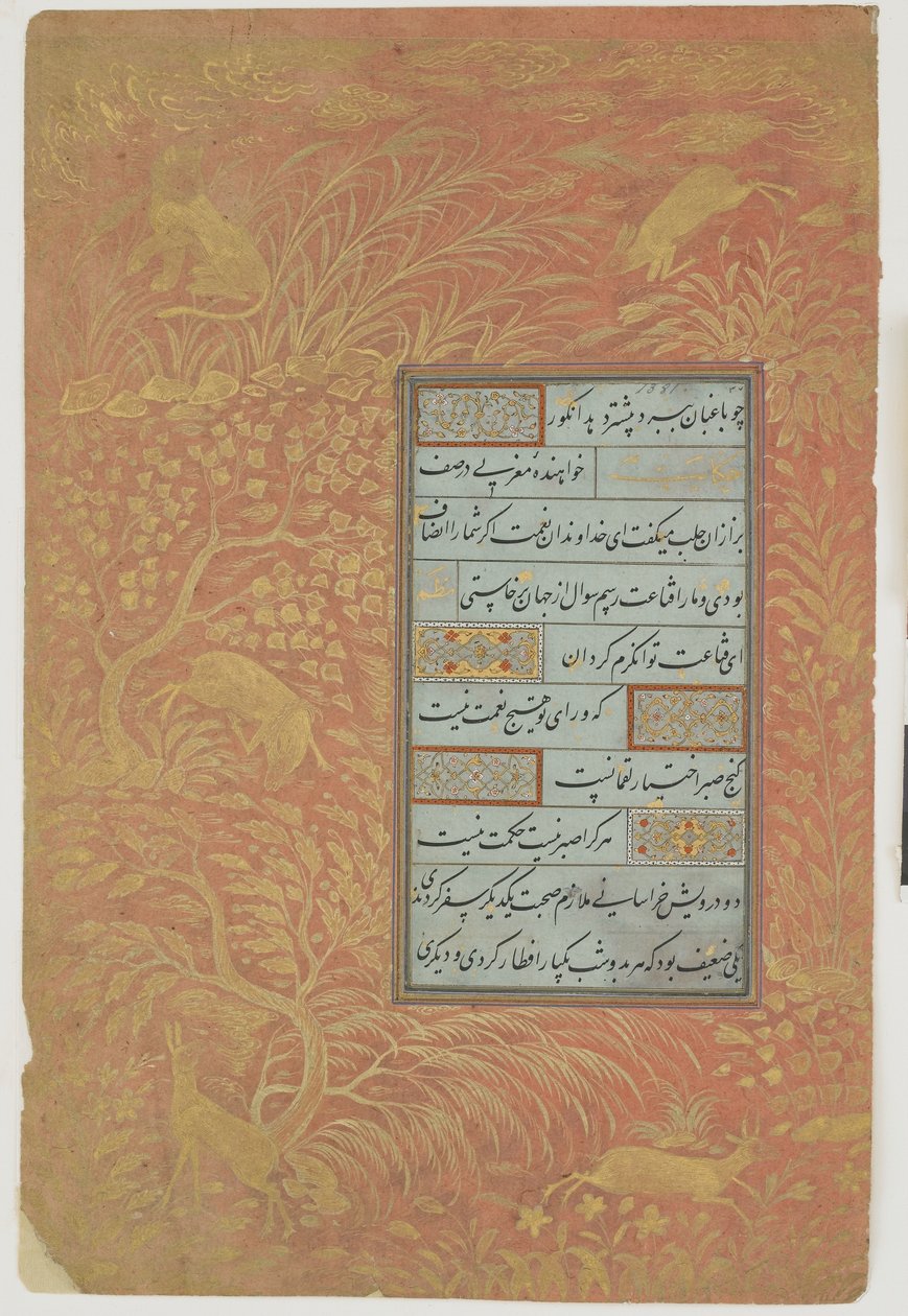 Kalligrafian folio, Iran, Safavid-dynastia (muste, läpinäkymätön akvarelli ja kulta paperille) tekijältä Persian School