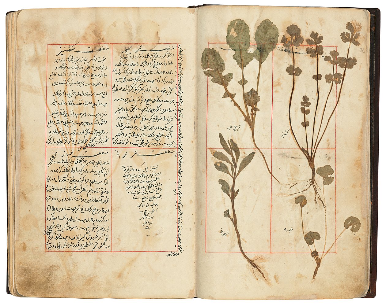 Hassan Bin Baqir Bin Jarrah: Ghalzar Al-Raihain, Qajar Iran tekijältä Persian School