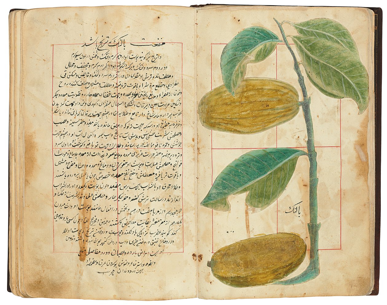 Hassan Bin Baqir Bin Jarrah: Ghalzar Al-Raihain, Qajar Iran tekijältä Persian School