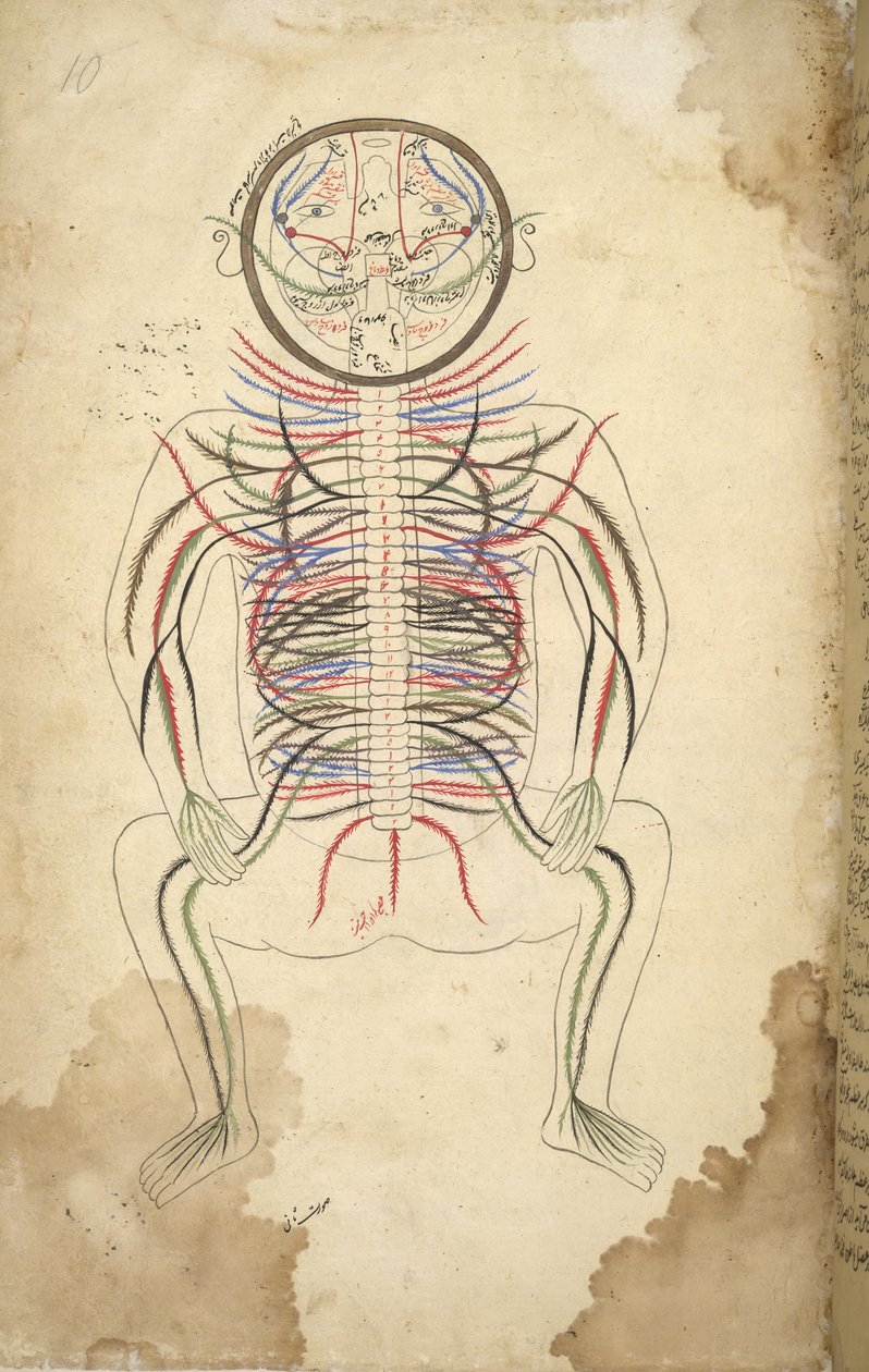 mm. Your Islam 1379, F.10 Human Sabeen, Fromm Atcherh B. Photography, B. Mansour Bin Muhammad tekijältä Persian School