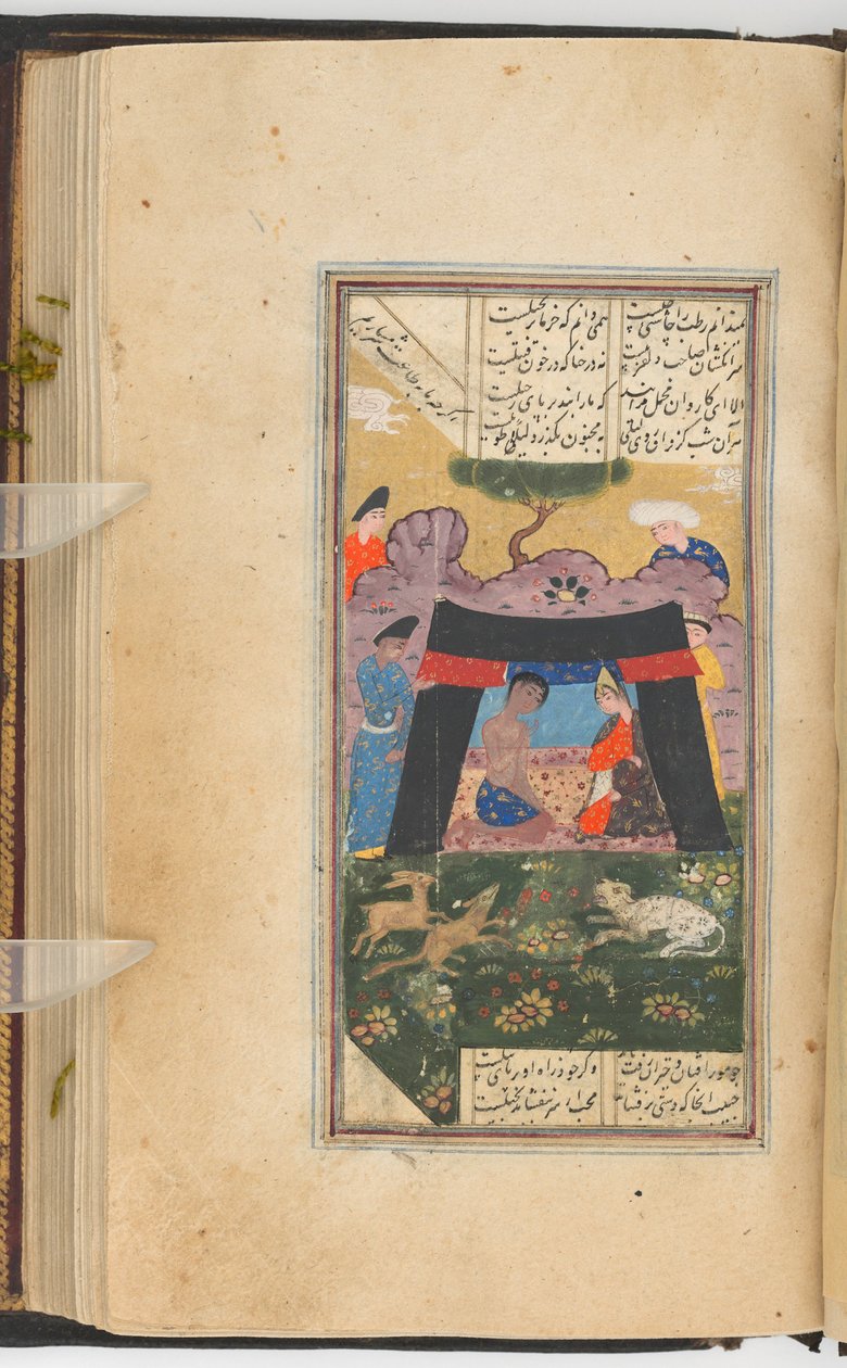 Layla ja Majnun teltassa (maalaus recto; teksti folion 205 verso), maalaus Kulliyat of Sa’di käsikirjoituksesta (muste, värit ja kulta paperille) tekijältä Persian School