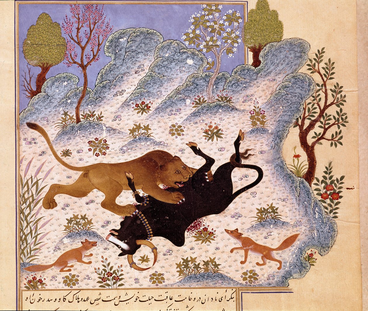 Leijona hyökkää härän kimppuun Kalilan ja Dimnan sivu tekijältä Persian School