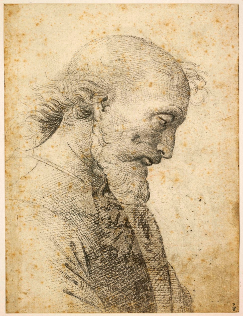 Miehen rintakuva, 1500-1503. tekijältä Perugino