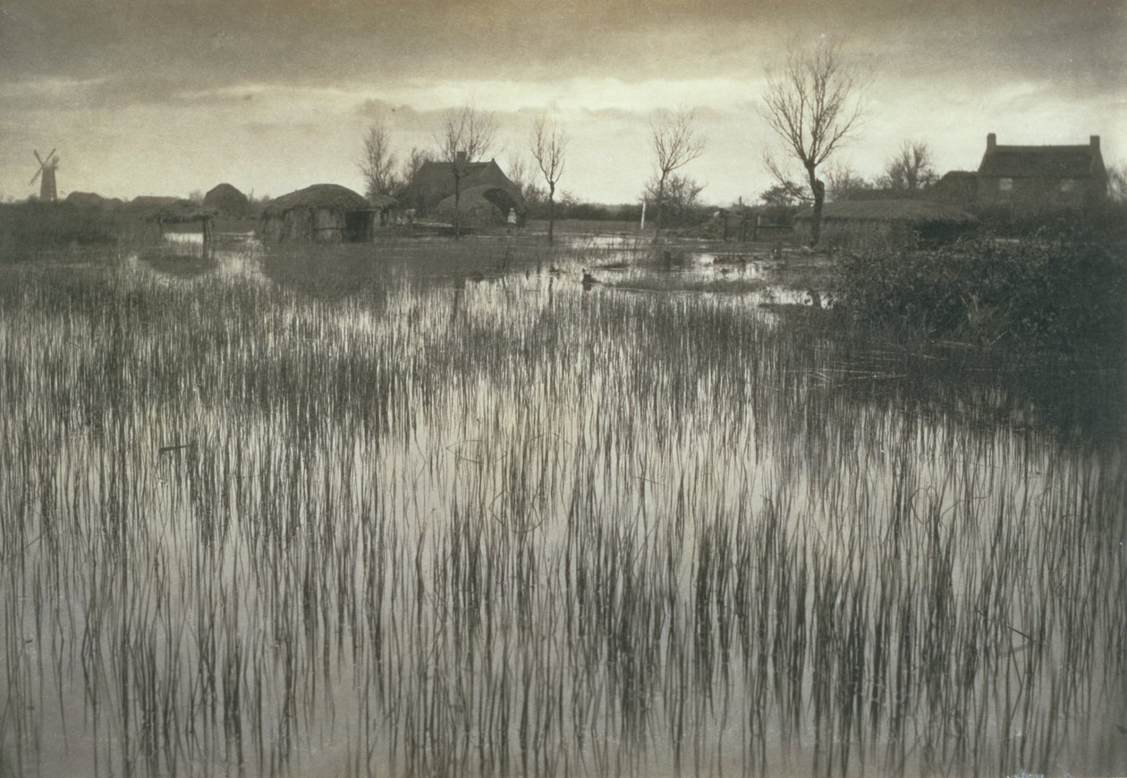 Rushy Shore, elämää ja maisemaa Norfolk Broadsilla, n. 1886 tekijältä Peter Emerson und Thomas Goodall