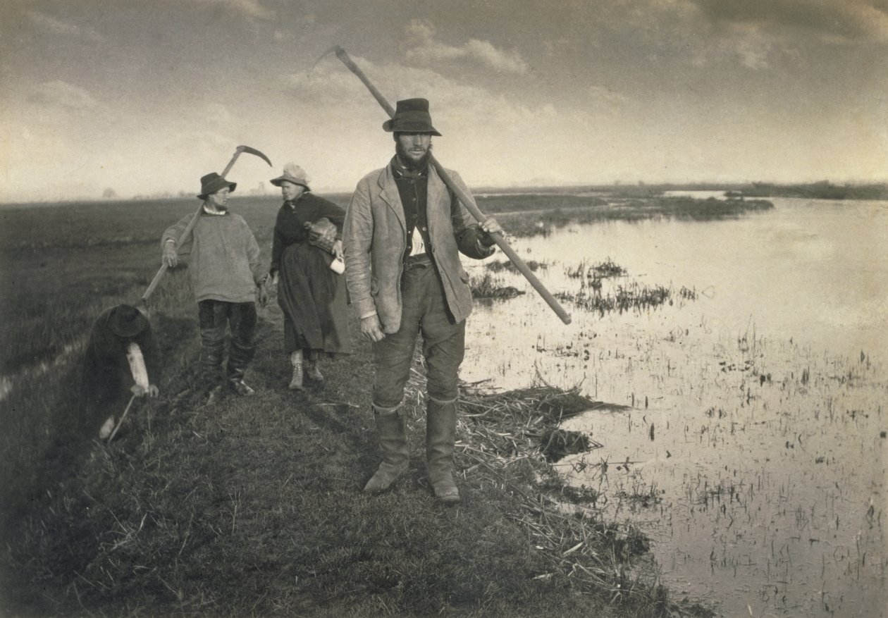 Cutting the Gladdon, Life and Landscape on the Norfolk Broads, n. 1886 tekijältä Peter Emerson und Thomas Goodall