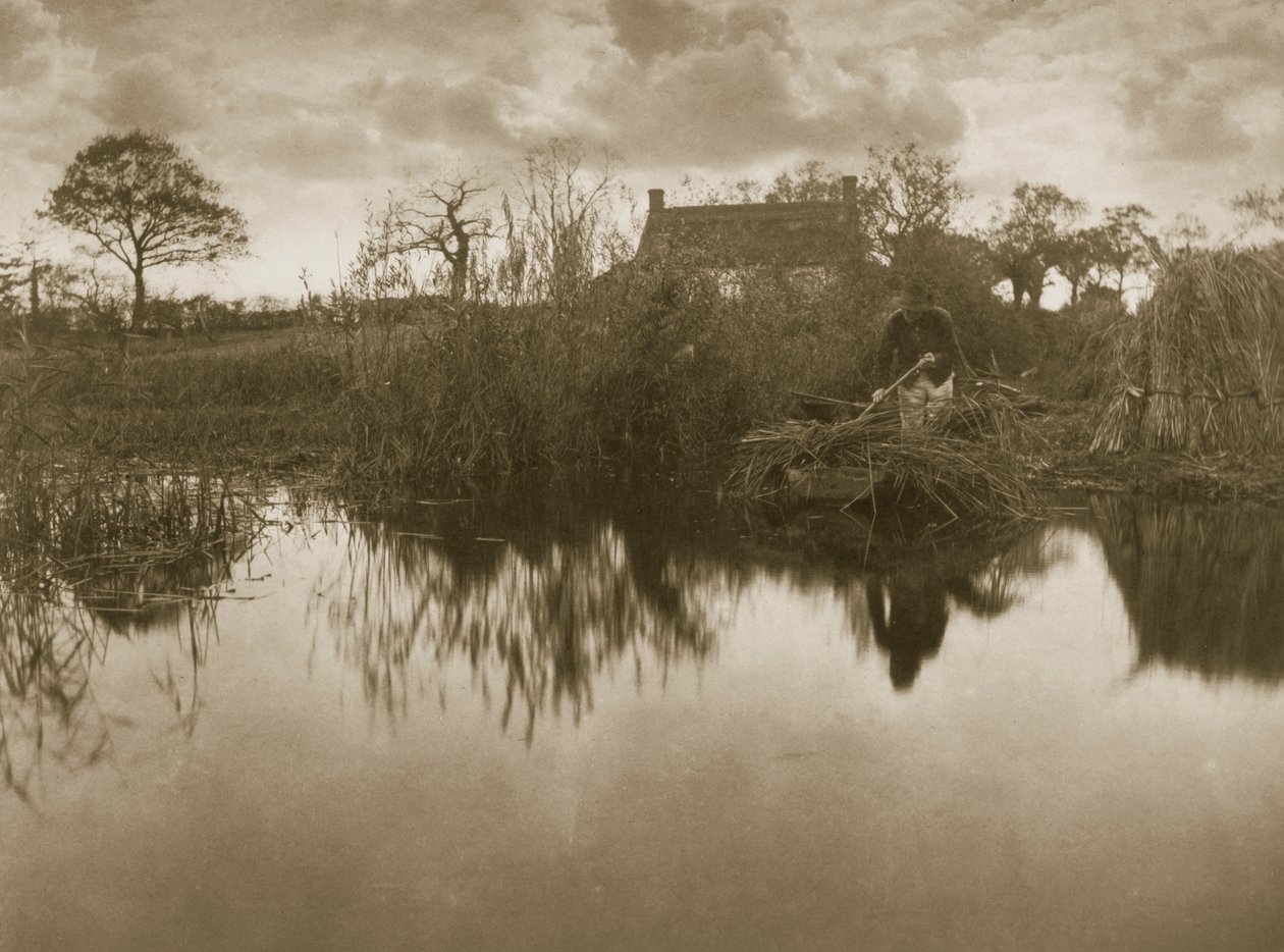Gladdonin kerääminen, noin 1886. tekijältä Peter Emerson und Thomas Goodall