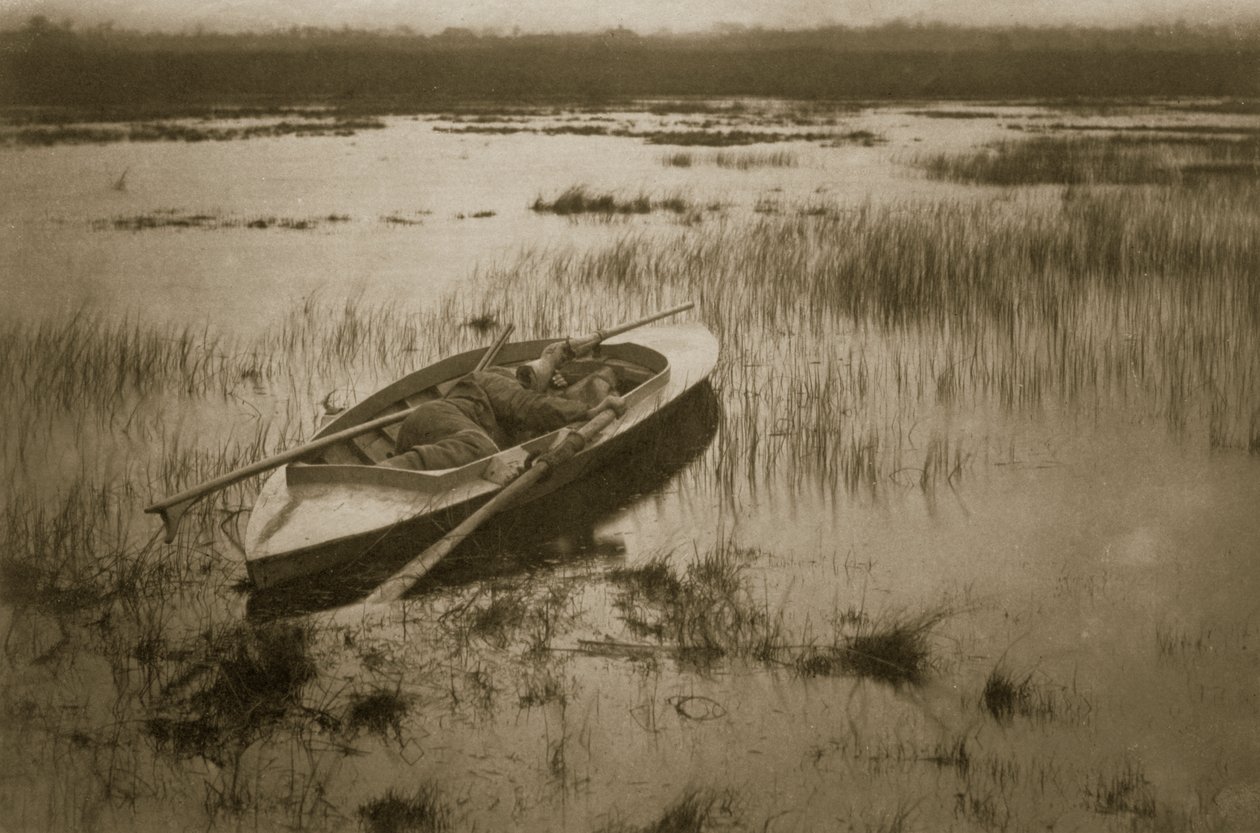 Tykkimies herättää linnut, elämä ja maisema Norfolk Broadsilla, n. 1886 tekijältä Peter Emerson und Thomas Goodall