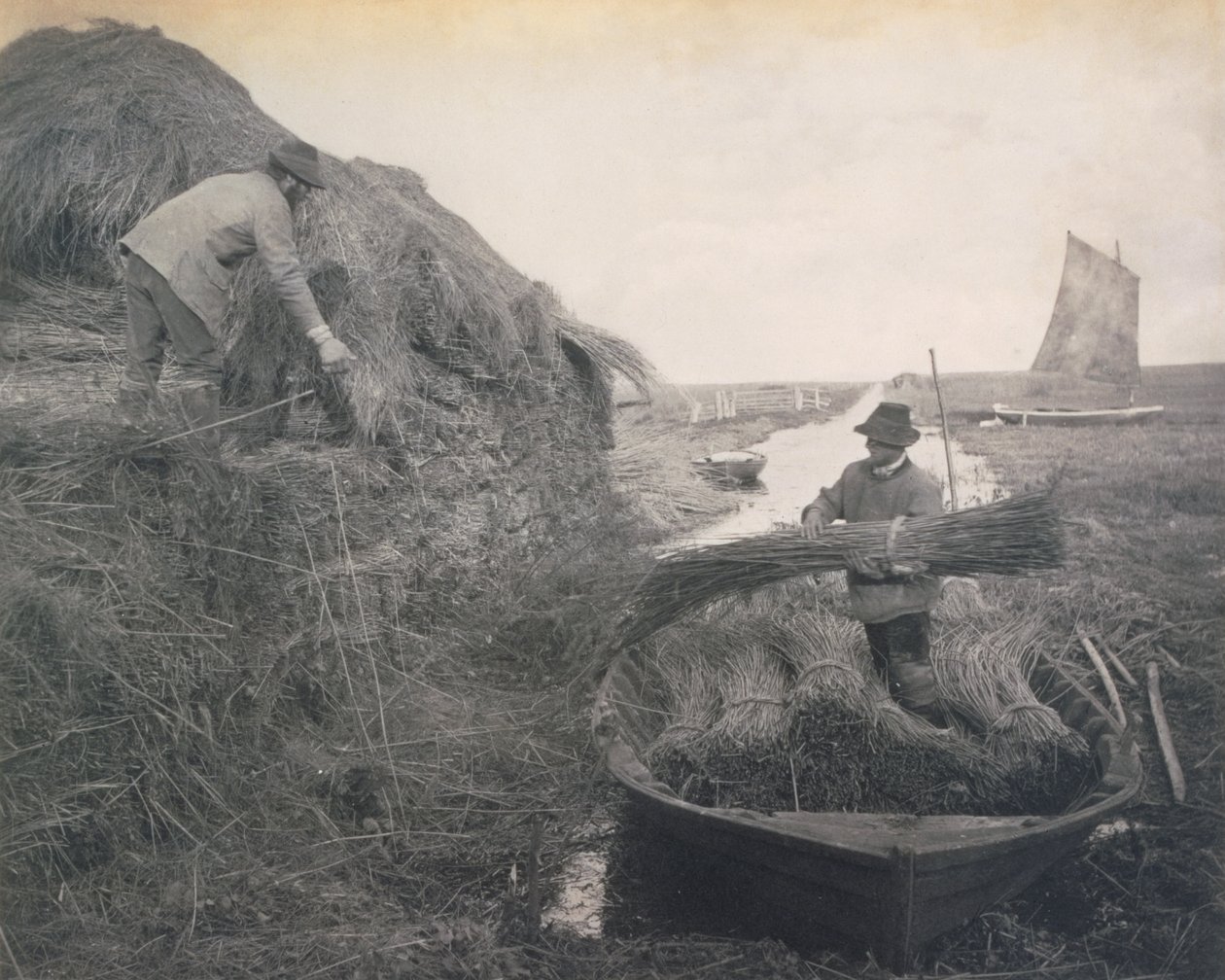 Ricking the Reed, elämää ja maisemaa Norfolkin Broadsilla, noin 1886. tekijältä Peter Emerson und Thomas Goodall