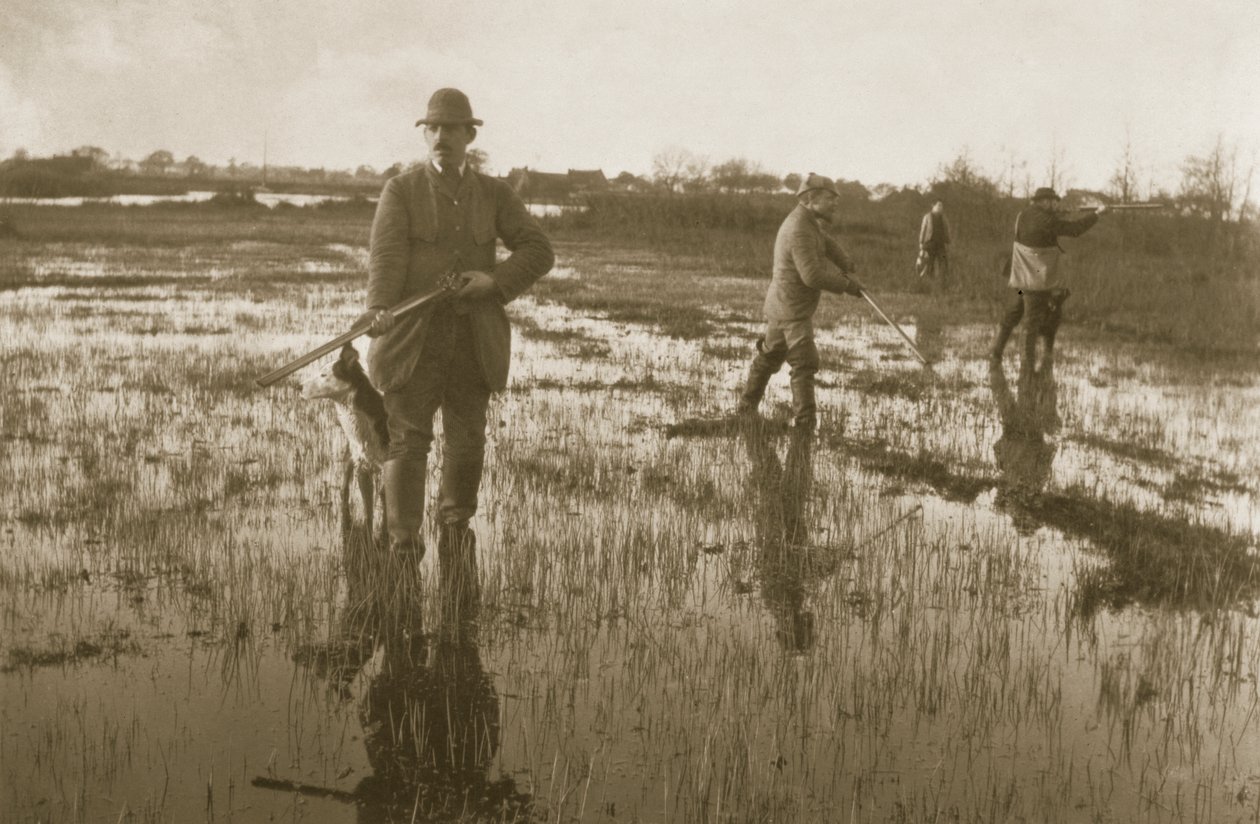Snipe-ammunta, 1886 tekijältä Peter Emerson und Thomas Goodall