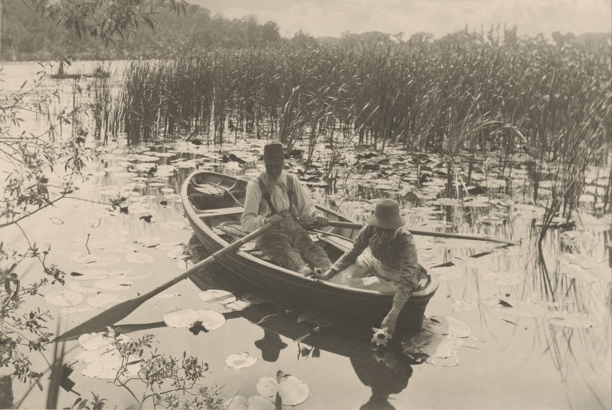 Vesililjojen kerääminen tekijältä Peter Henry Emerson