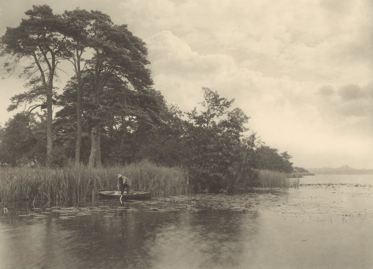 Haukin kummitus tekijältä Peter Henry Emerson