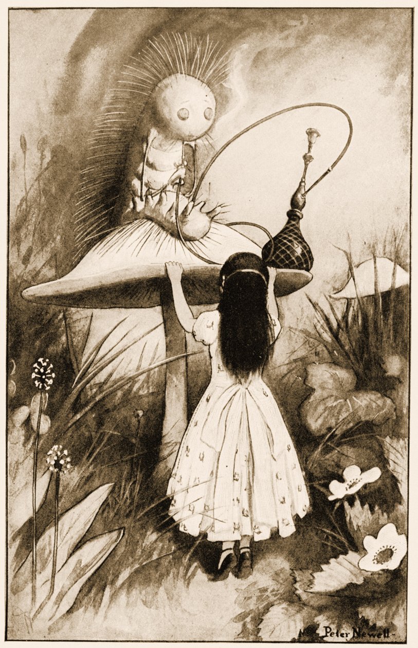 Toukka ja Liisa katsoivat toisiaan, kuvitus Lewis Carrollin Alices Adventures in Wonderland -sarjasta, 1901 tekijältä Peter Newell