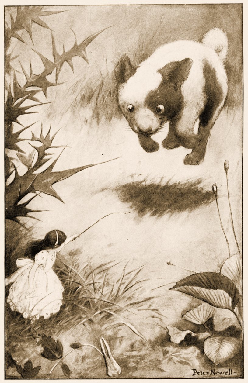 Pentu hyppäsi ilmaan, kuvitus elokuvasta Lewis Carrolls Alices Adventures in Wonderland, 1901 tekijältä Peter Newell