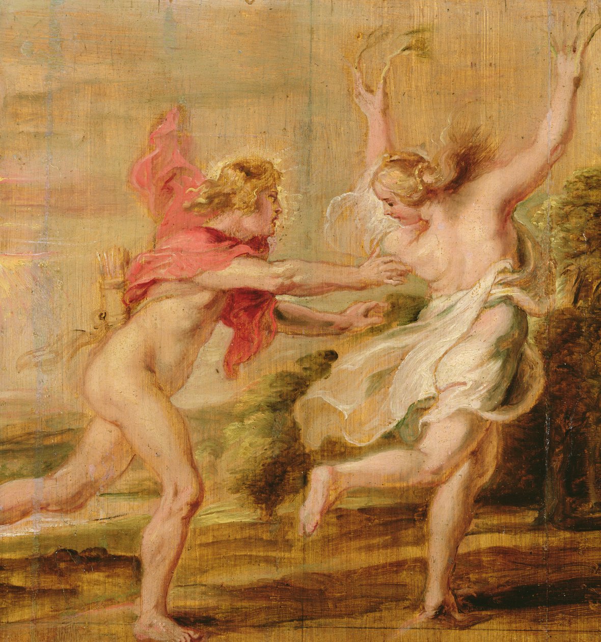 Apollo ja Daphne, n. 1636 tekijältä Peter Paul Rubens