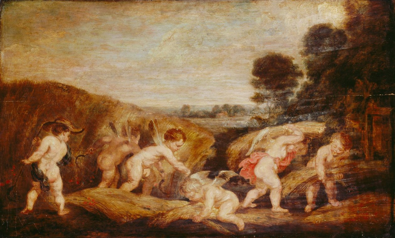 Amorien korjuu tekijältä Peter Paul Rubens