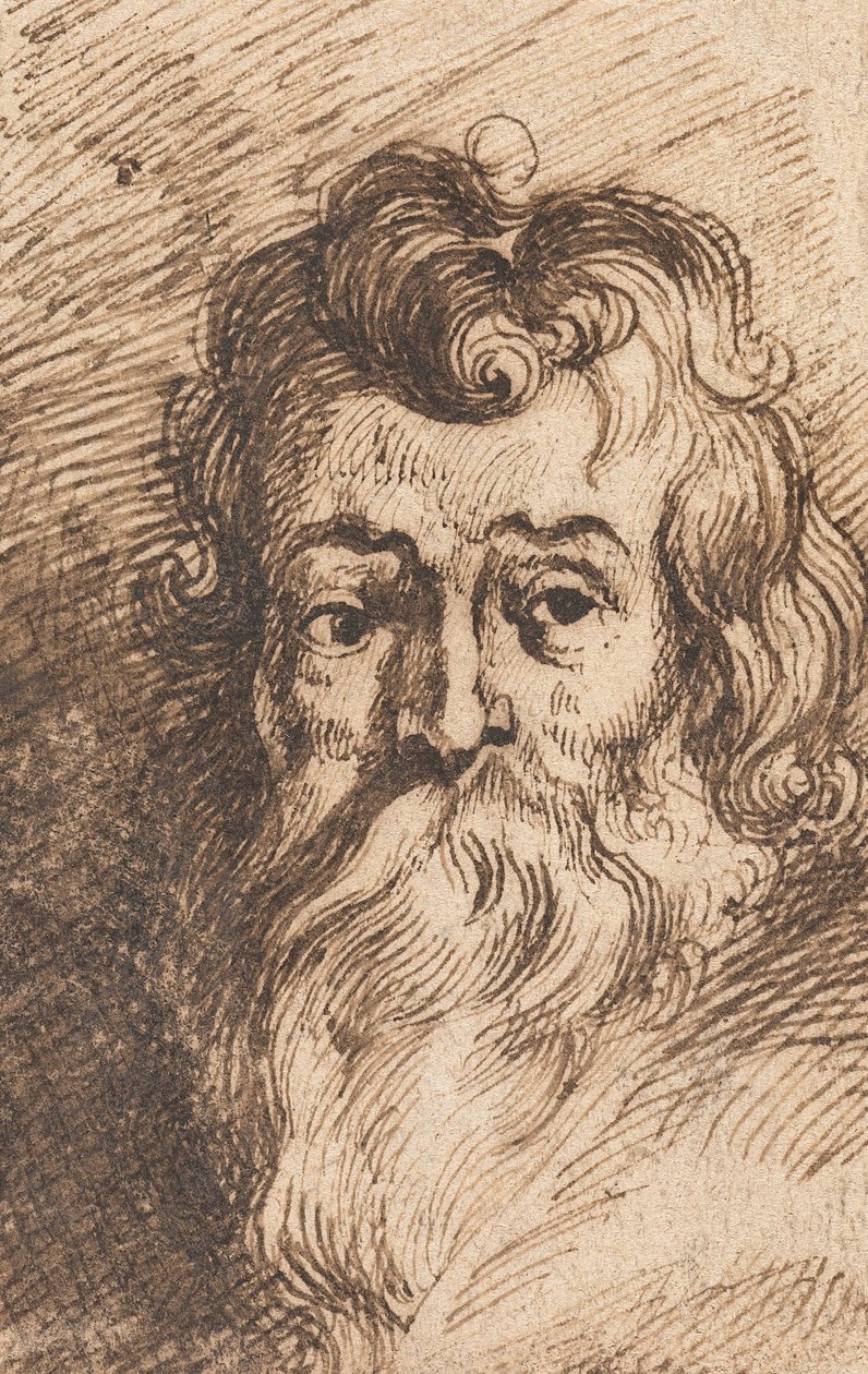 Parrakas miehen pää tekijältä Peter Paul Rubens