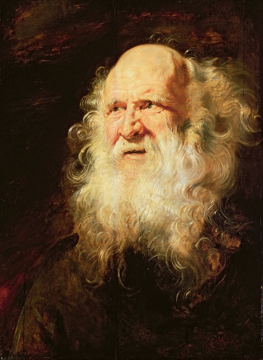 Tutkimus vanhan miehen päistä, n. 1612 tekijältä Peter Paul Rubens