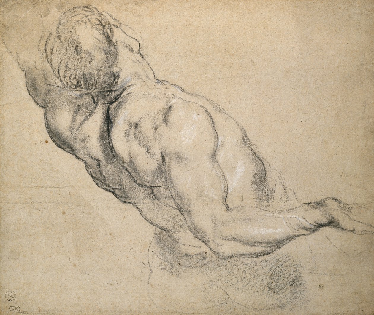 Tutkimus alaston miehen torsosta tekijältä Peter Paul Rubens