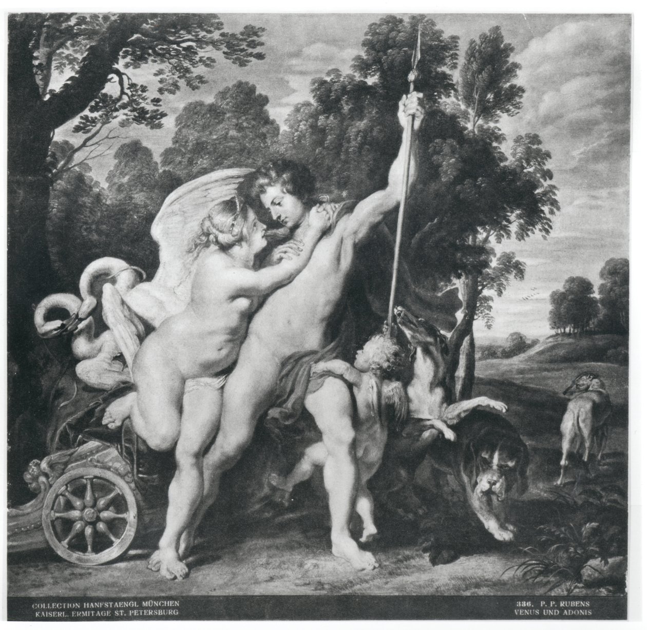 Venus ja Adonis tekijältä Peter Paul Rubens