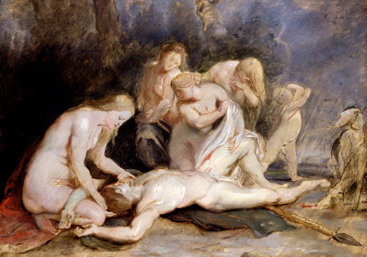 Venus suri Adonisia tekijältä Peter Paul Rubens