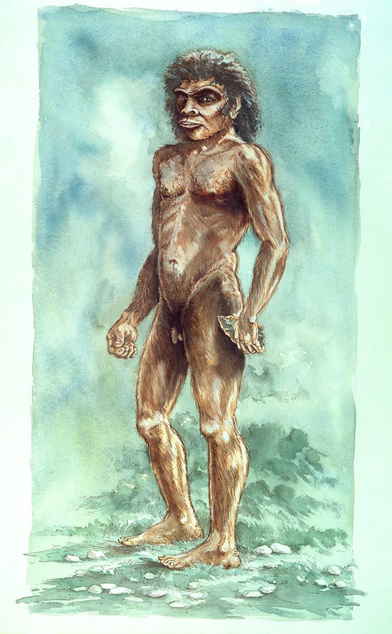 Boxgrove Man, esihistoriallinen, 1990-2010 tekijältä Peter Dunn